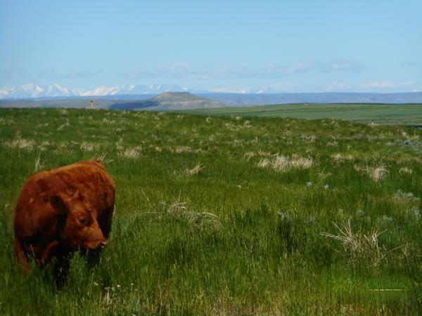 T Bar J Ranch