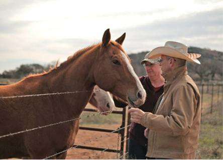 Brangus Best Cattle Company